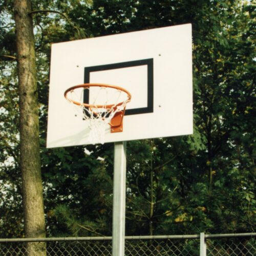 Basketbalpalen uitneembaar 7 Voordelige en duurzame recreatie-basketbalpaal.